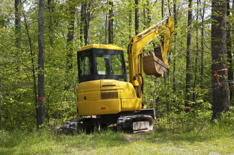 Mini Excavator